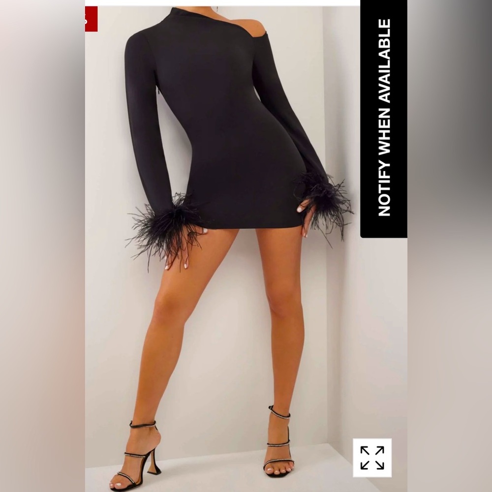 Never worn with Tags Heiress Beverly Hill Mini Dress with Feather Trim